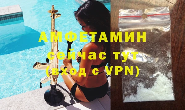 ПСИЛОЦИБИНОВЫЕ ГРИБЫ Вязники