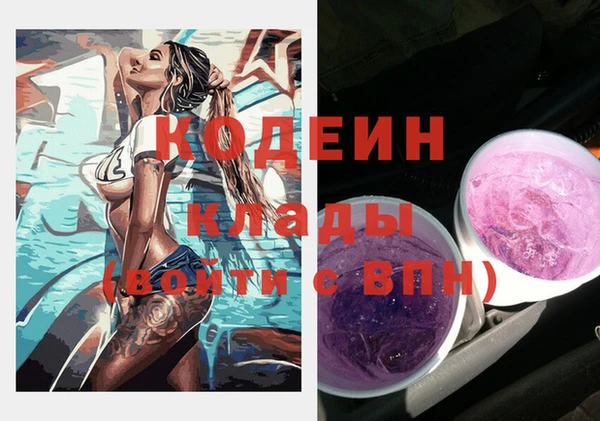 дмт Вяземский