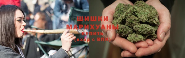 ПСИЛОЦИБИНОВЫЕ ГРИБЫ Вязники
