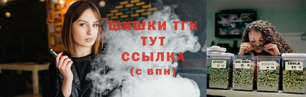 дмт Вяземский