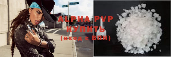ПСИЛОЦИБИНОВЫЕ ГРИБЫ Вязники