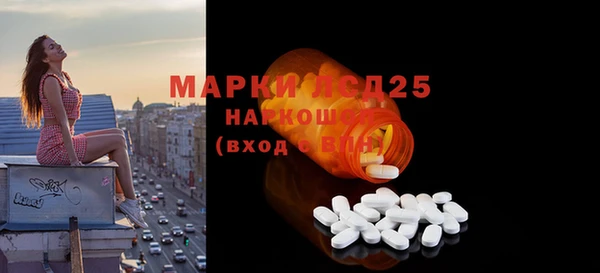 ПСИЛОЦИБИНОВЫЕ ГРИБЫ Вязники