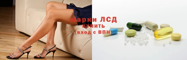 дмт Вяземский
