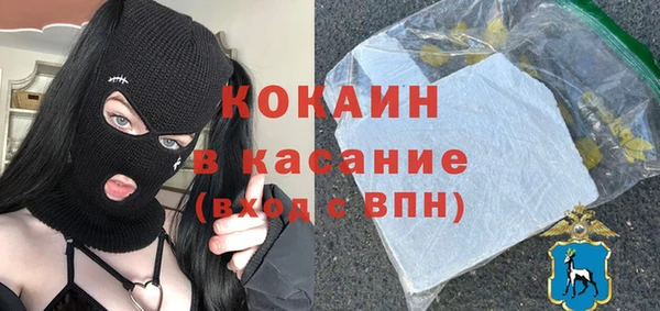 ПСИЛОЦИБИНОВЫЕ ГРИБЫ Вязники