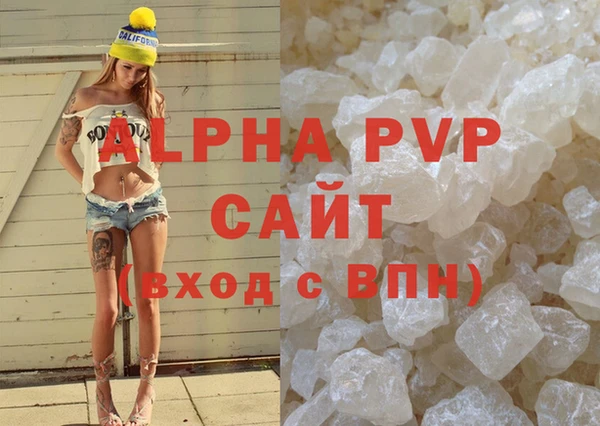 ПСИЛОЦИБИНОВЫЕ ГРИБЫ Вязники
