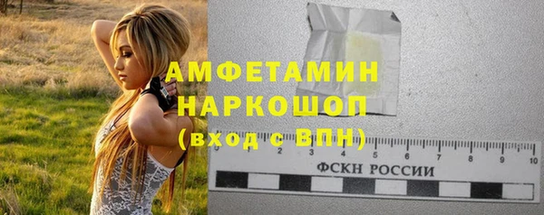 ПСИЛОЦИБИНОВЫЕ ГРИБЫ Вязники