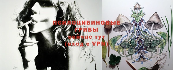 ПСИЛОЦИБИНОВЫЕ ГРИБЫ Вязники