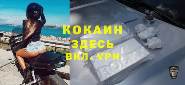 ПСИЛОЦИБИНОВЫЕ ГРИБЫ Вязники