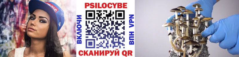 Галлюциногенные грибы Psilocybine cubensis  Жирновск 